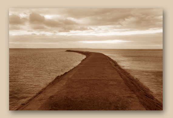 Click here to proceed.
